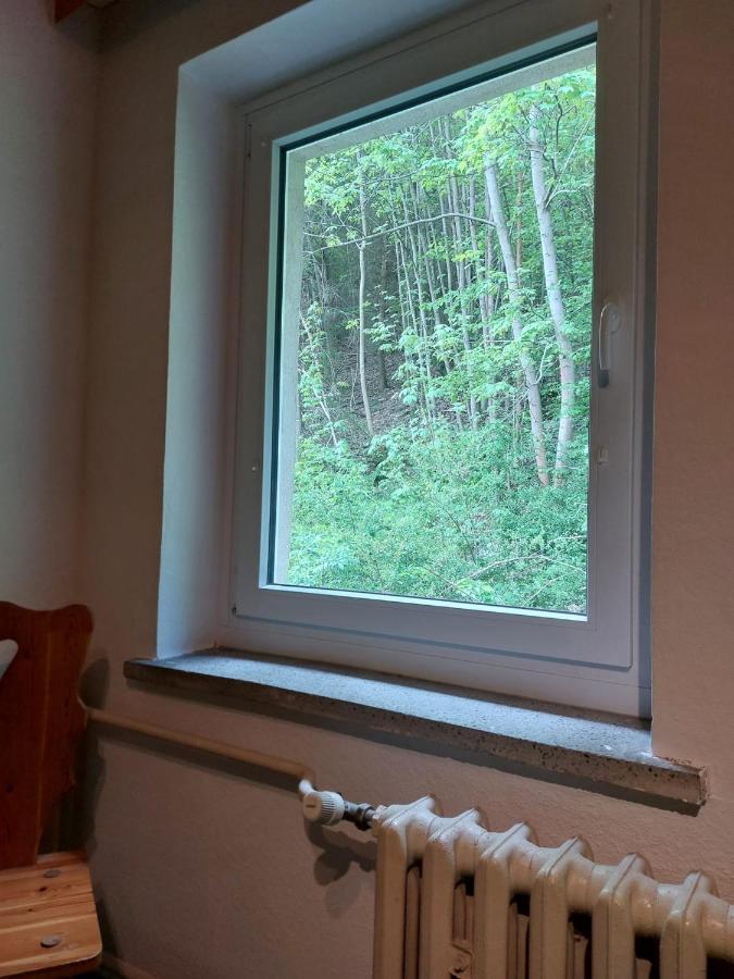 Pension Sternschnuppe, Treseburg Harz, Unmittelbar Am Wasser Thale Luaran gambar