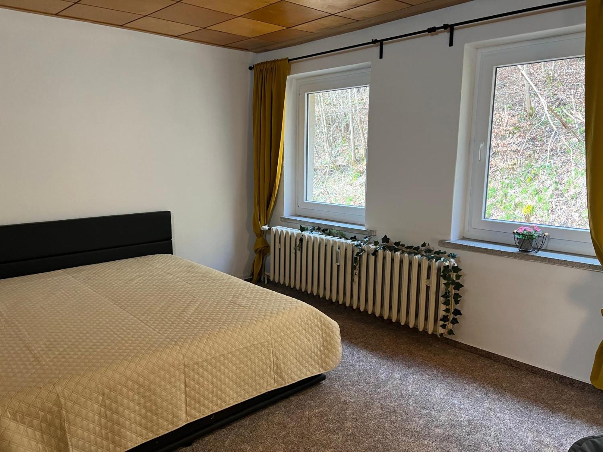 Pension Sternschnuppe, Treseburg Harz, Unmittelbar Am Wasser Thale Luaran gambar