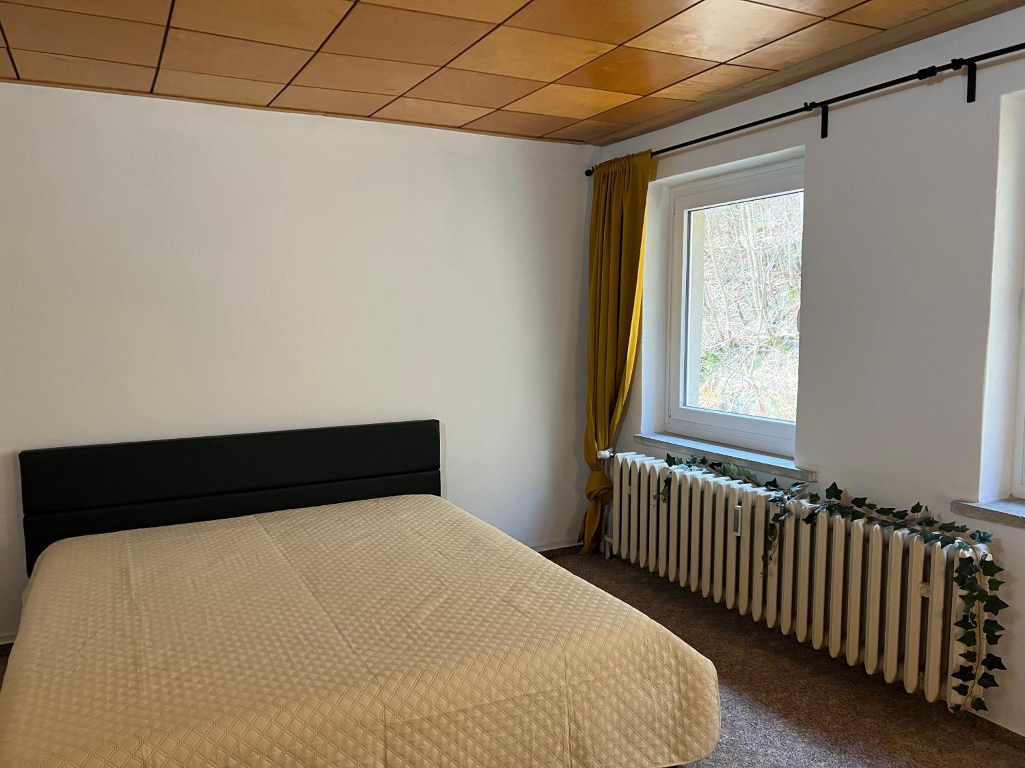 Pension Sternschnuppe, Treseburg Harz, Unmittelbar Am Wasser Thale Luaran gambar