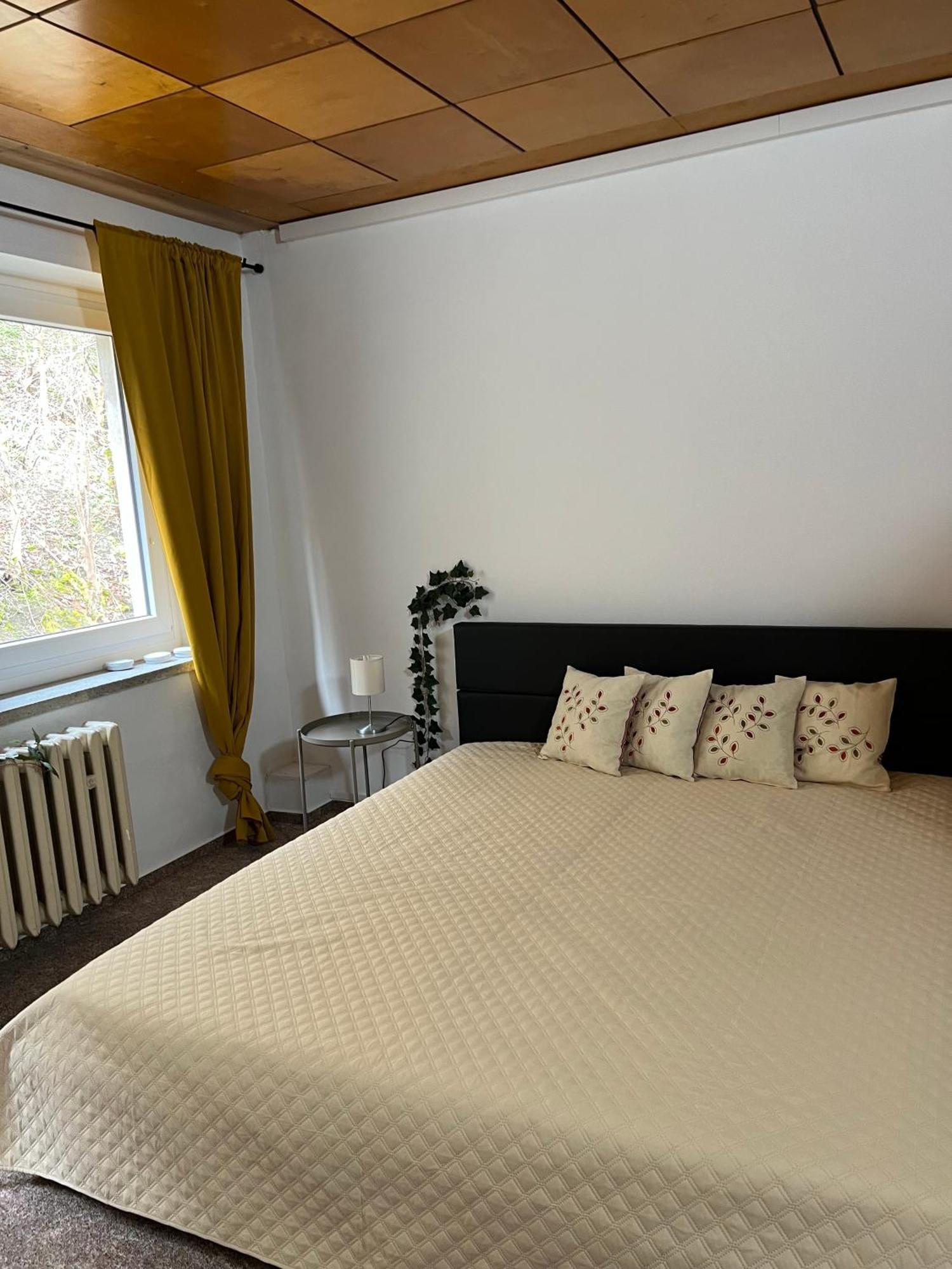 Pension Sternschnuppe, Treseburg Harz, Unmittelbar Am Wasser Thale Luaran gambar