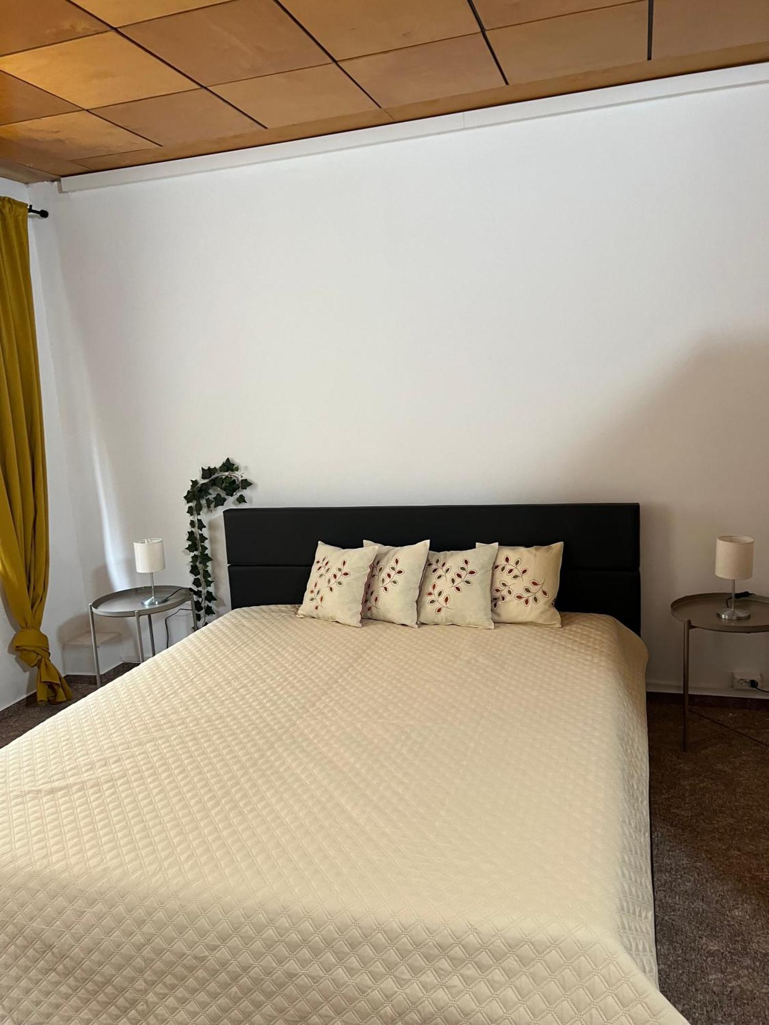 Pension Sternschnuppe, Treseburg Harz, Unmittelbar Am Wasser Thale Luaran gambar